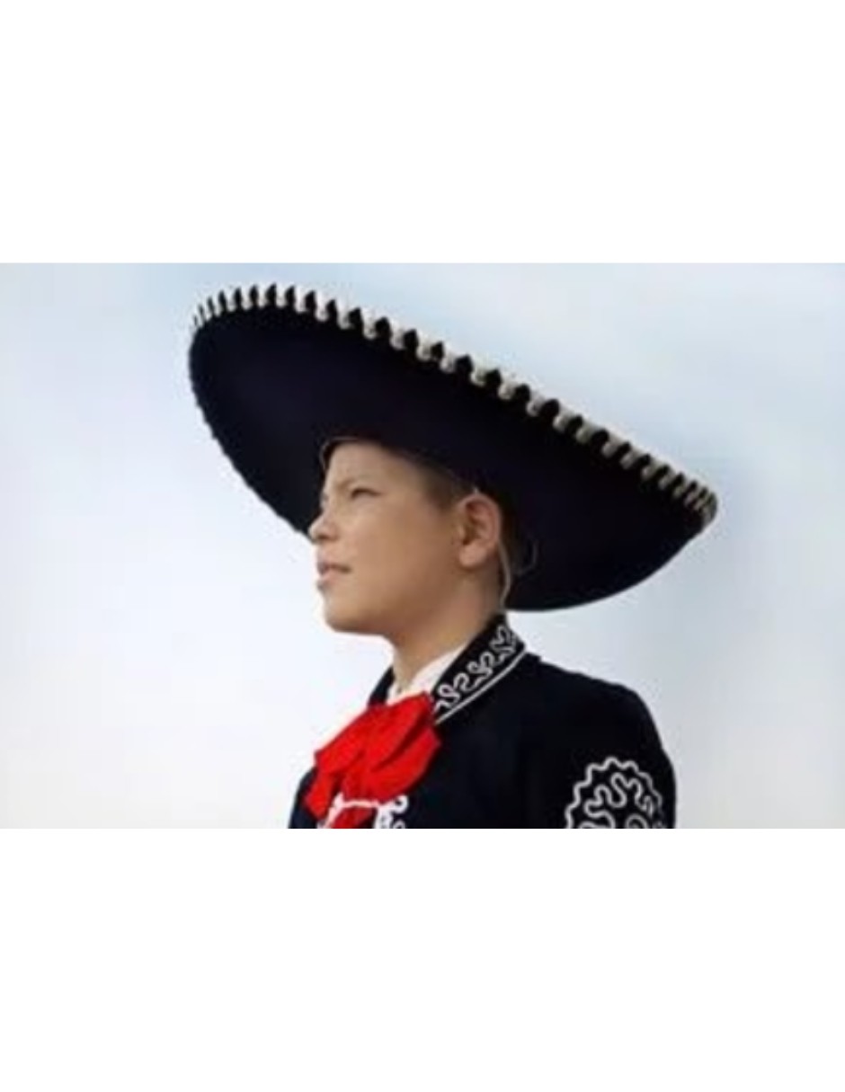 Luis Enrique: El Gallo de Jalisco Album musical 2013 en CD image number null