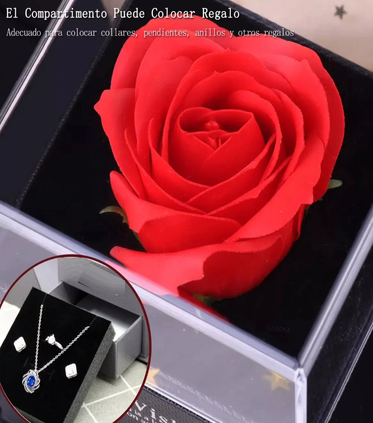 Rosa Roja Flor Artificial Flor Eterna con collar Plata con Azul image number null