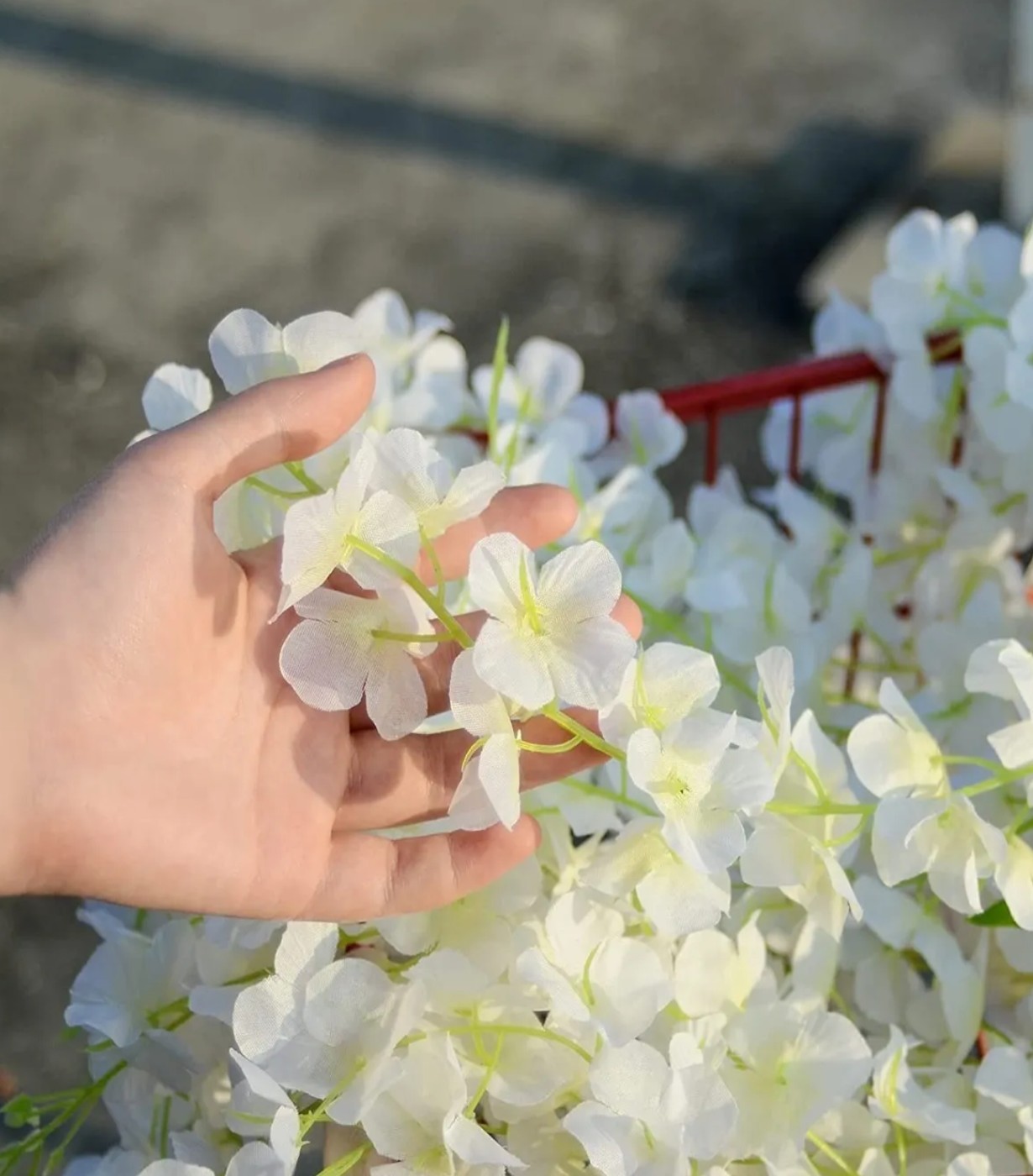 5 Guirnalda De Glicinias Artificial Wisteria Follaje +bridas Blanco Verde image number null