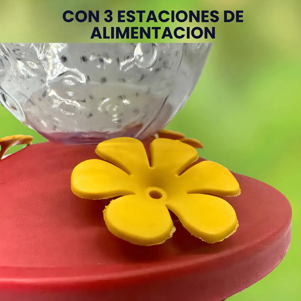 Bebedero Colibri 500 Ml Alimentador Colibries Colgante Color Transparente / Fresa image number null