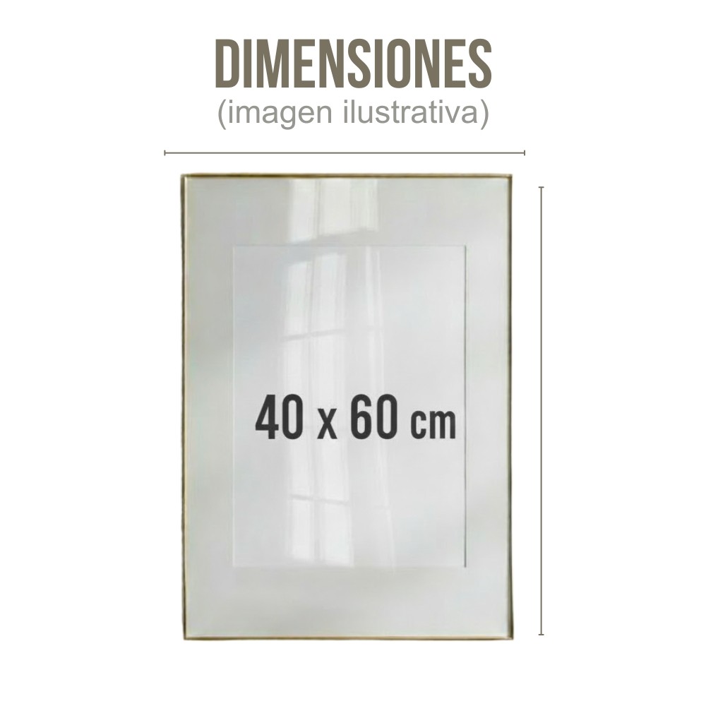 Cuadro Decorativo Animal 40x60cm Grulla Real Impreso image number null