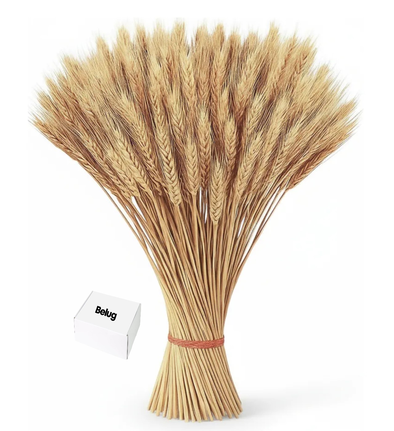 "Ramo De Trigo Naturaleza Muerta Decoracion 150 Espigas " image number null