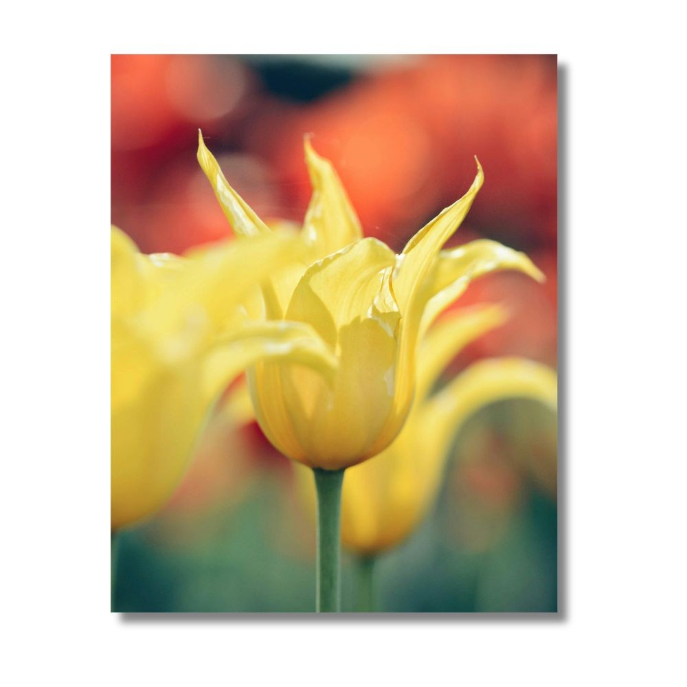 Cuadro Decorativo Planta 80x120cm Lirio Amarillo image number null