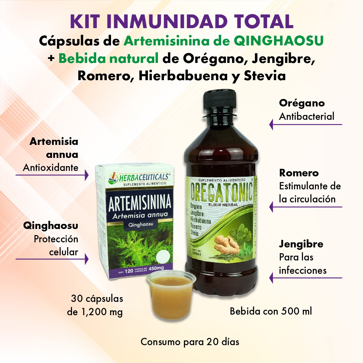 Artemisinina kit Inmunidad Total Defensas Caps jarabe image number null