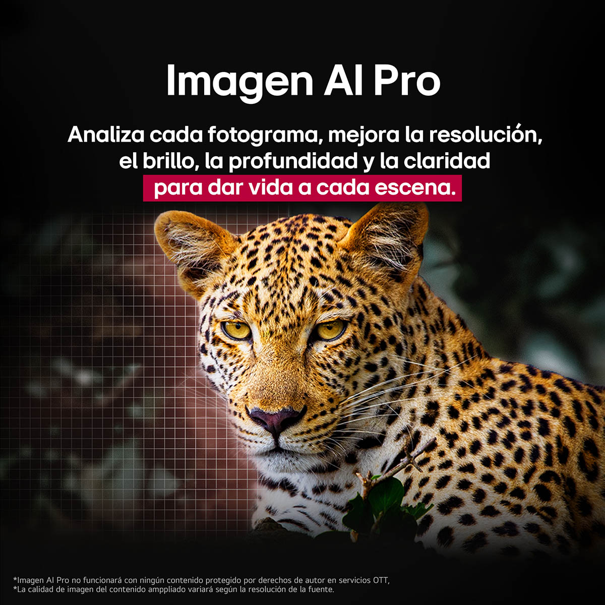 Pantalla Evo LG de 65 Pulgadas 4 KOled65c5psa en la Compra de Este Producto de Regalo Barra De Sonido Lg Sk1d Ean: 8806096419816 image number null