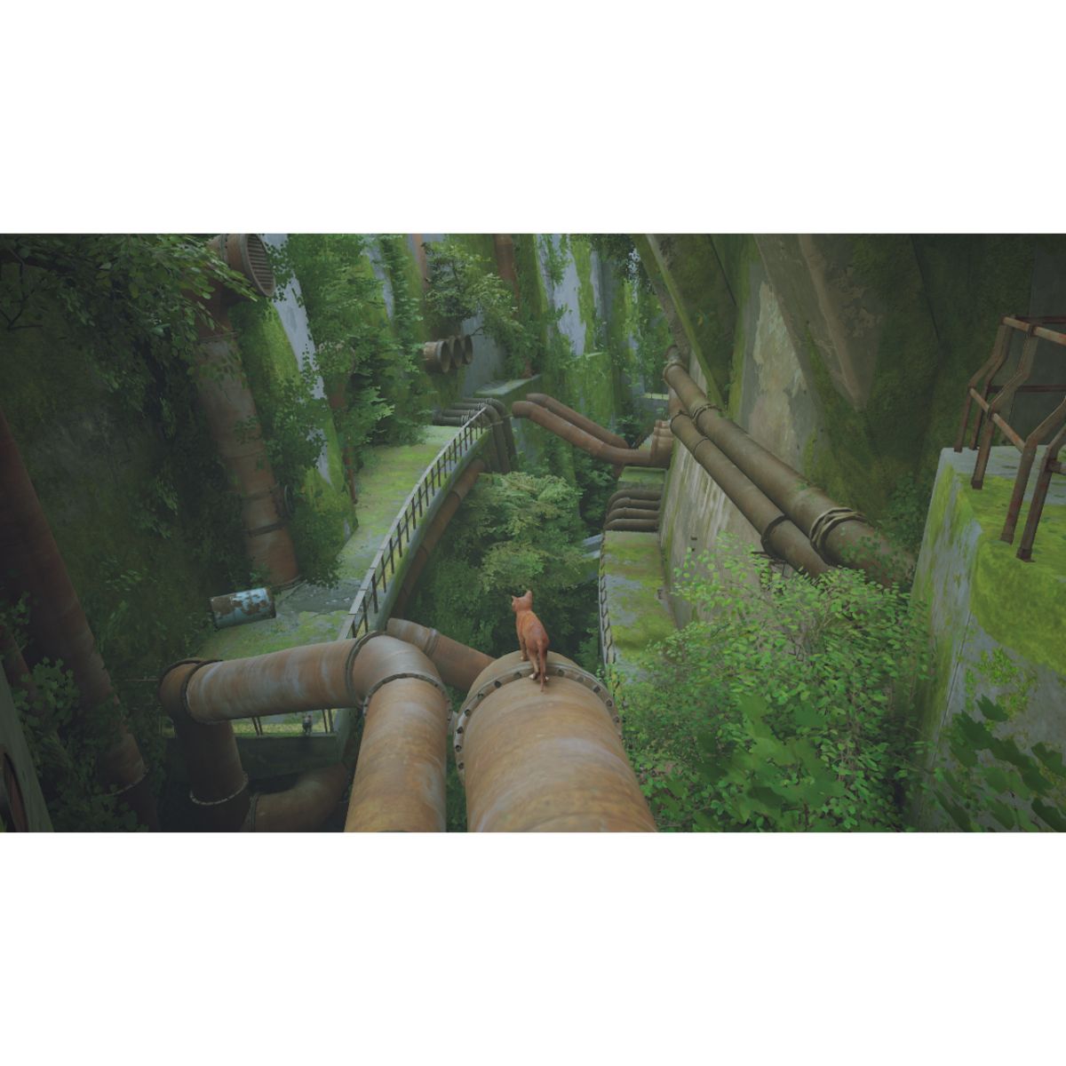 Videojuego Stray para NSW Nintendo Switch image number null