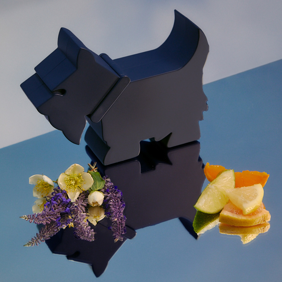 Estuche Ferrioni Terrier for Him Eau de Parfum 90 ml +  Eau de Parfum 10 ml + Deo 78 gr para Caballero image number null