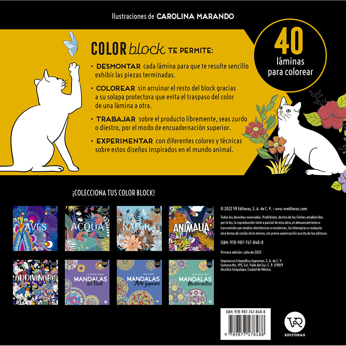 Color block cats image number null