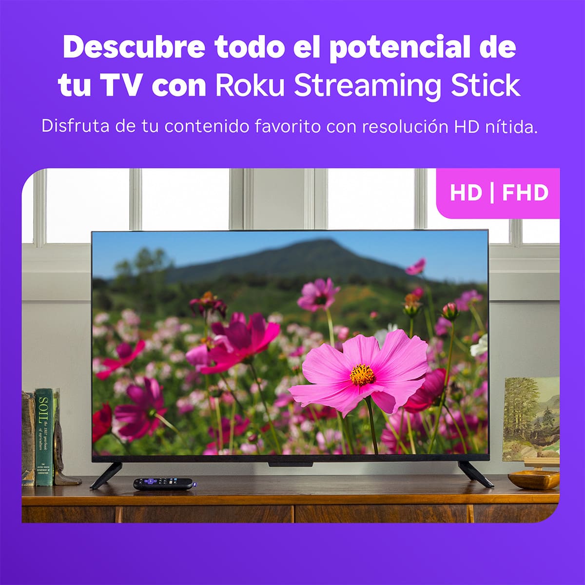 Roku Streaming Stick image number null