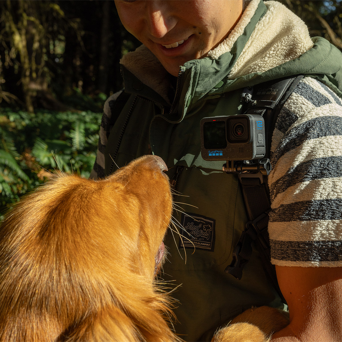 C&aacute;mara GoPro HERO12 Black image number null