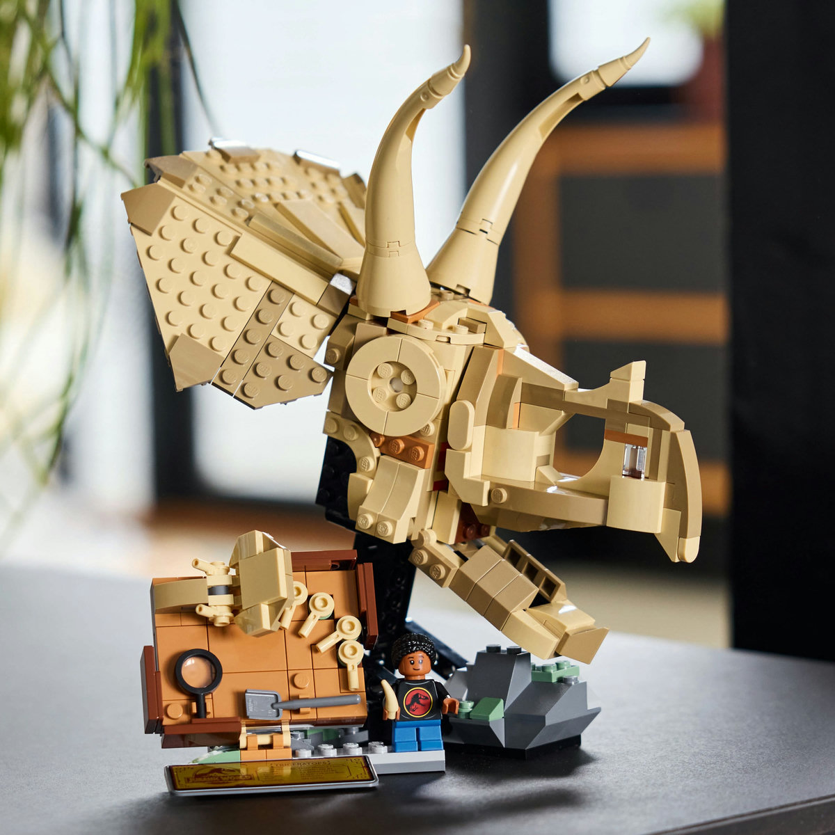 LEGO&reg; F&oacute;siles de Dinosaurios: Cr&aacute;neo de Triceratop image number null