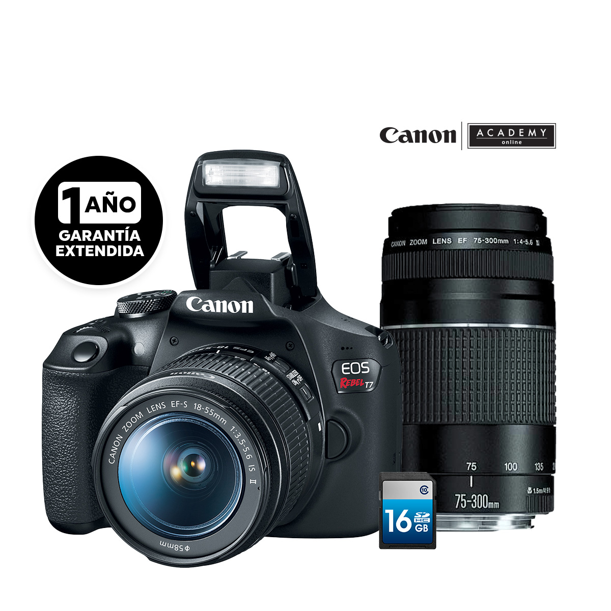 Cámara Canon T7 KIT doble lente 18–55/EF 75-300 image number null