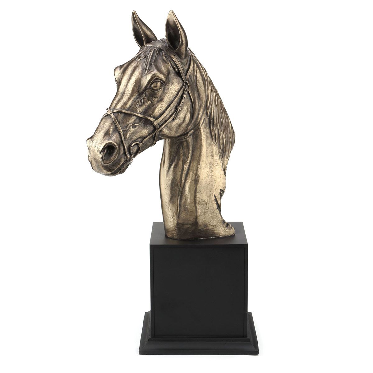 Cabeza de Caballo image number null