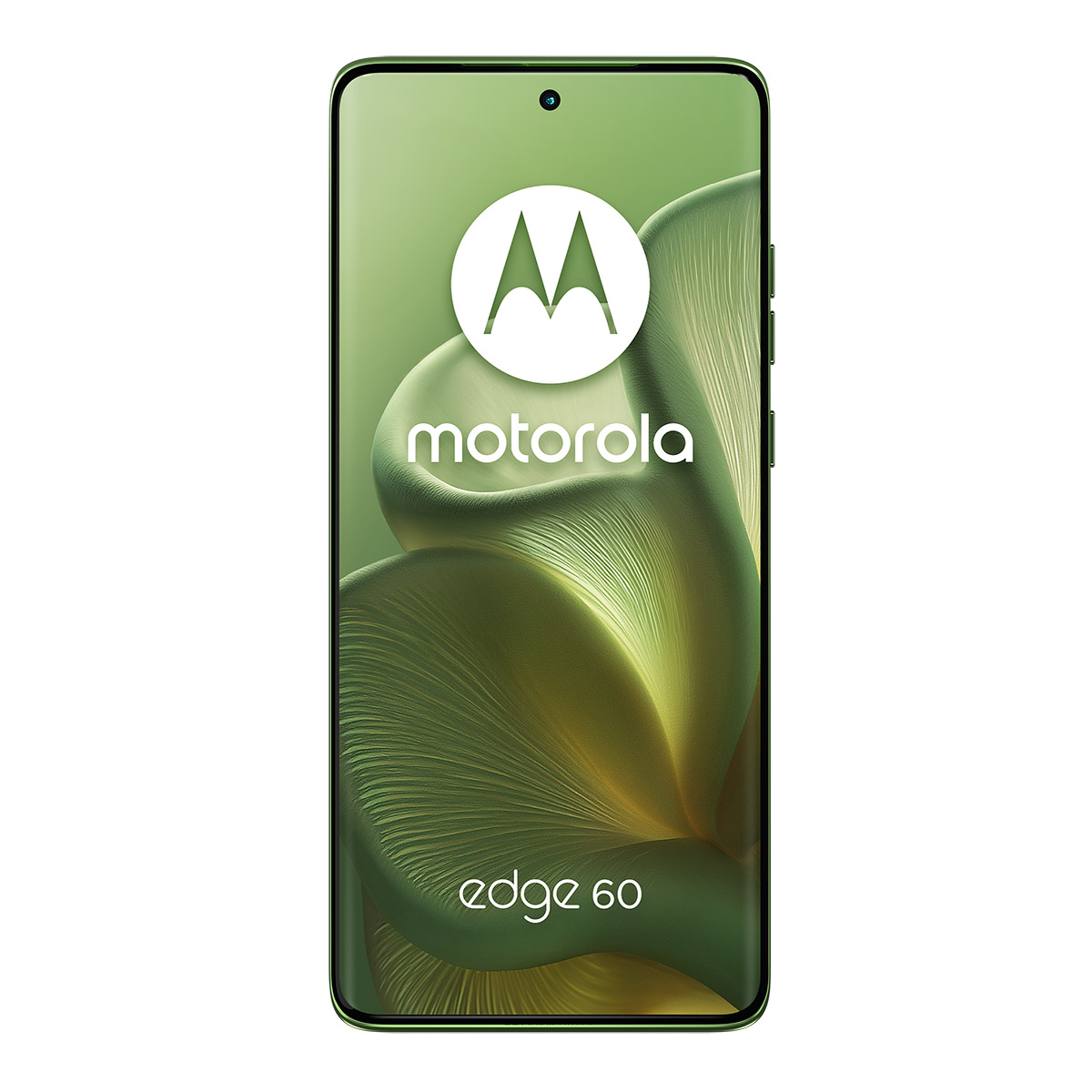 Motorola Edge 60 5G 512GB Verde Telcel R9 image number null