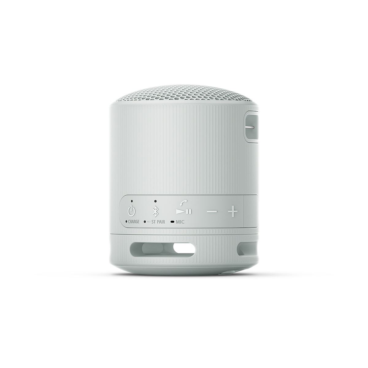 Bocina Port&aacute;til Sony XB100 Gris image number null