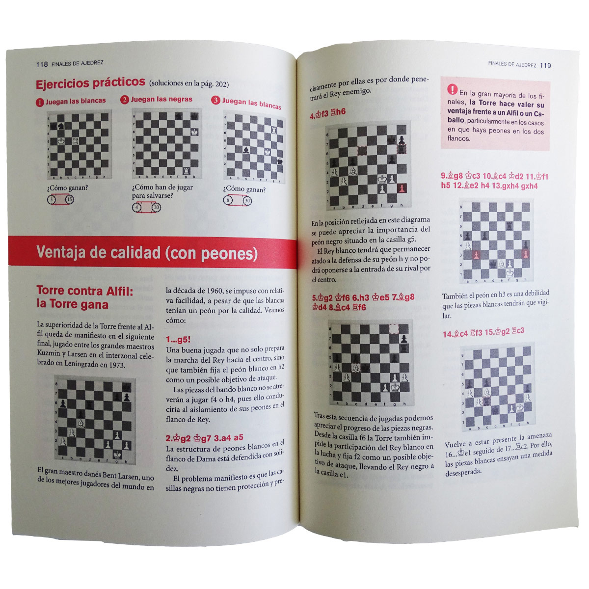 Finales De Ajedrez Ed.2025 image number null