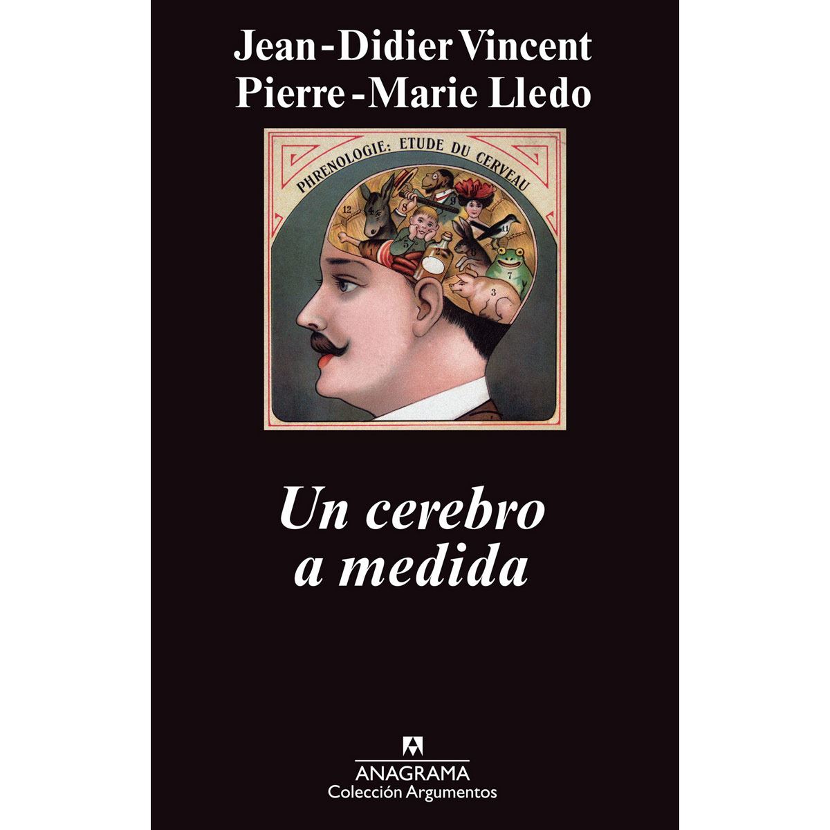 Un cerebro a medida image number null