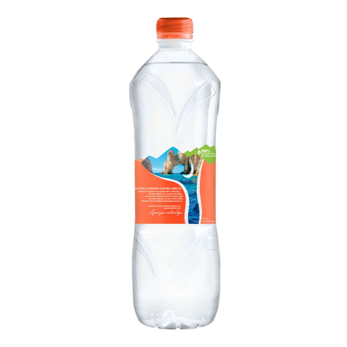 Agua Bonafont 1 lt image number null