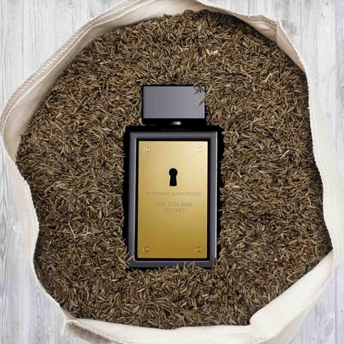 Fragancia para Caballero Antonio Banderas The Golden Secret EDT 100 ml image number null