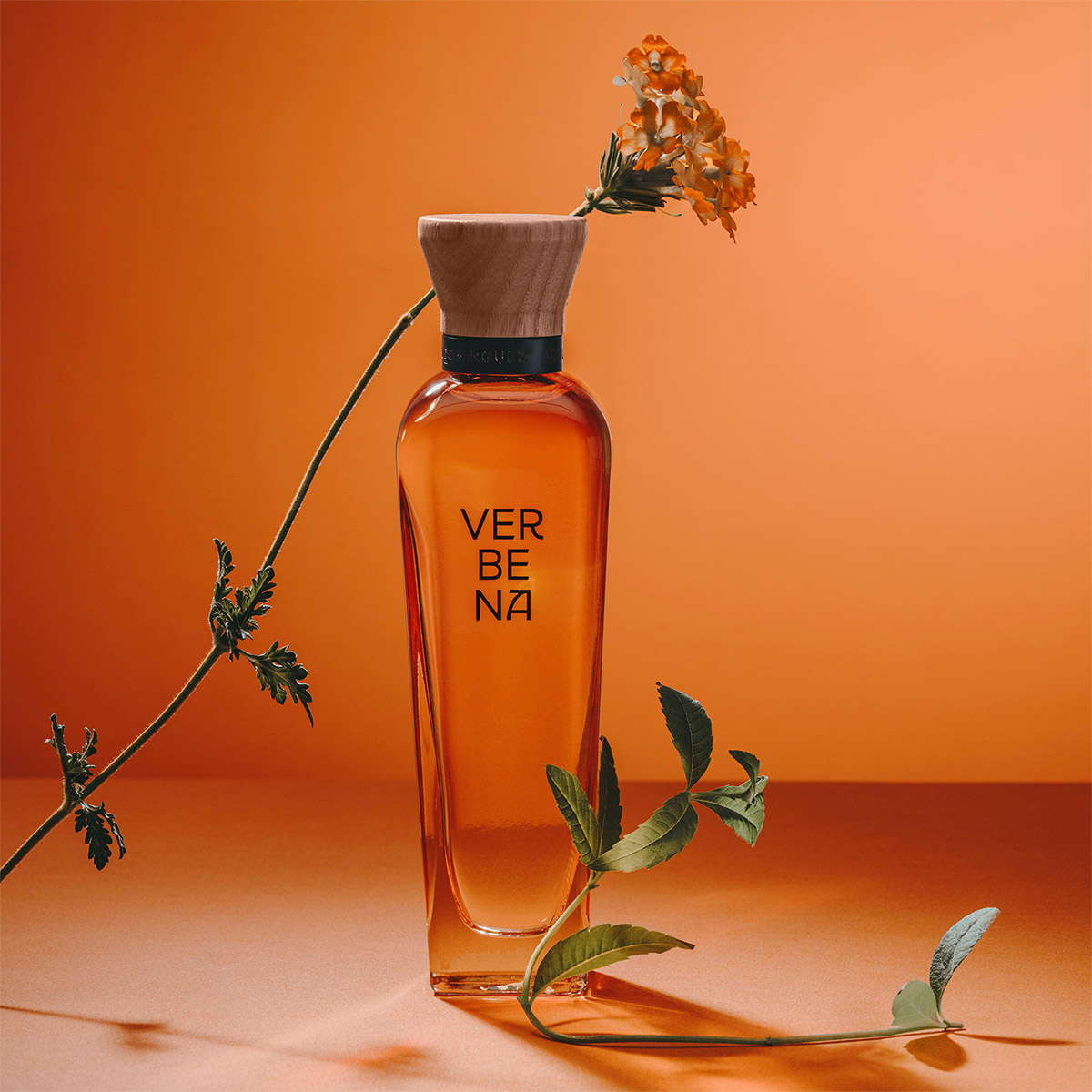 Perfume para Mujer Adolfo Dominguez Verbena Eau de Toilette 120ml image number null