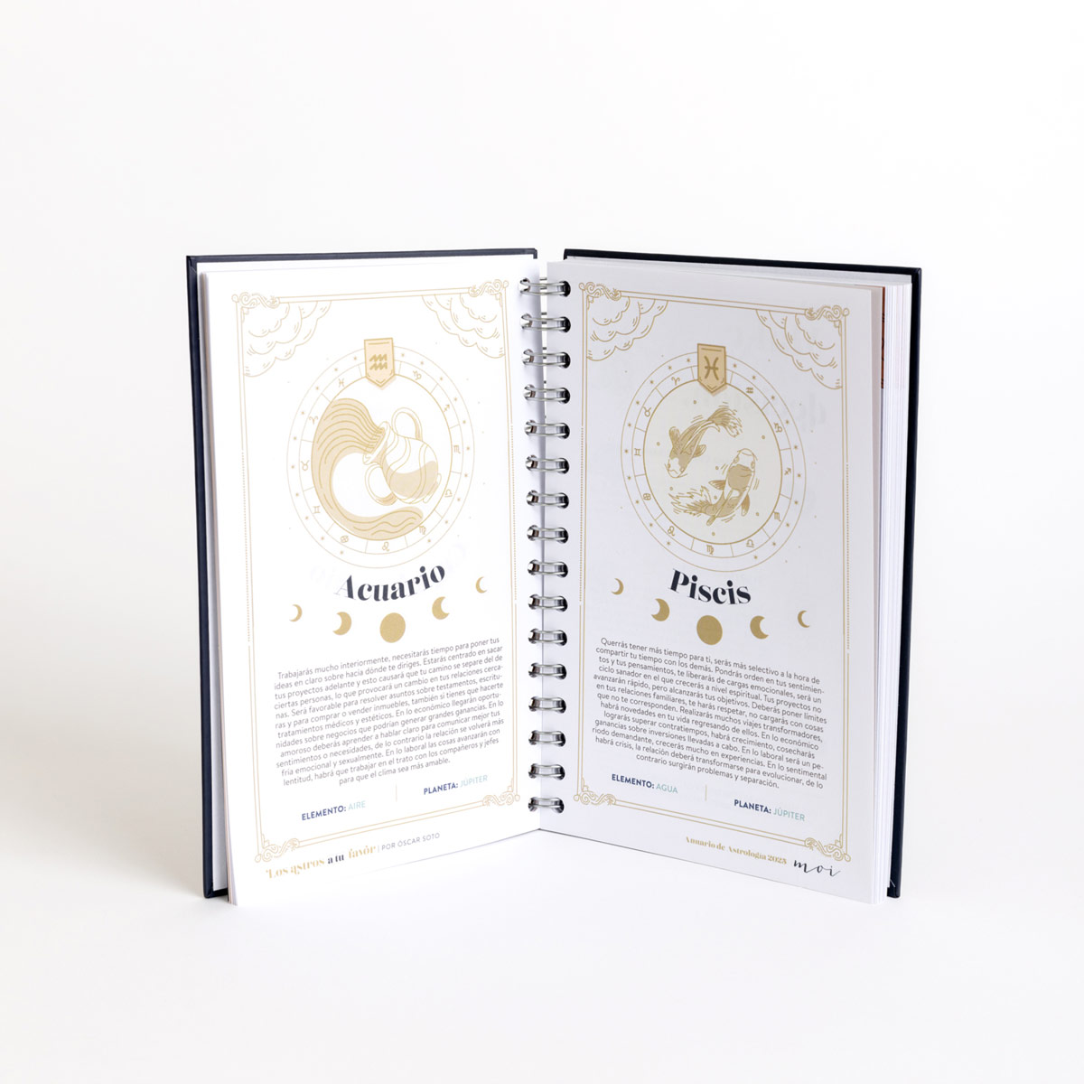 Anuario Moi 2025 image number null