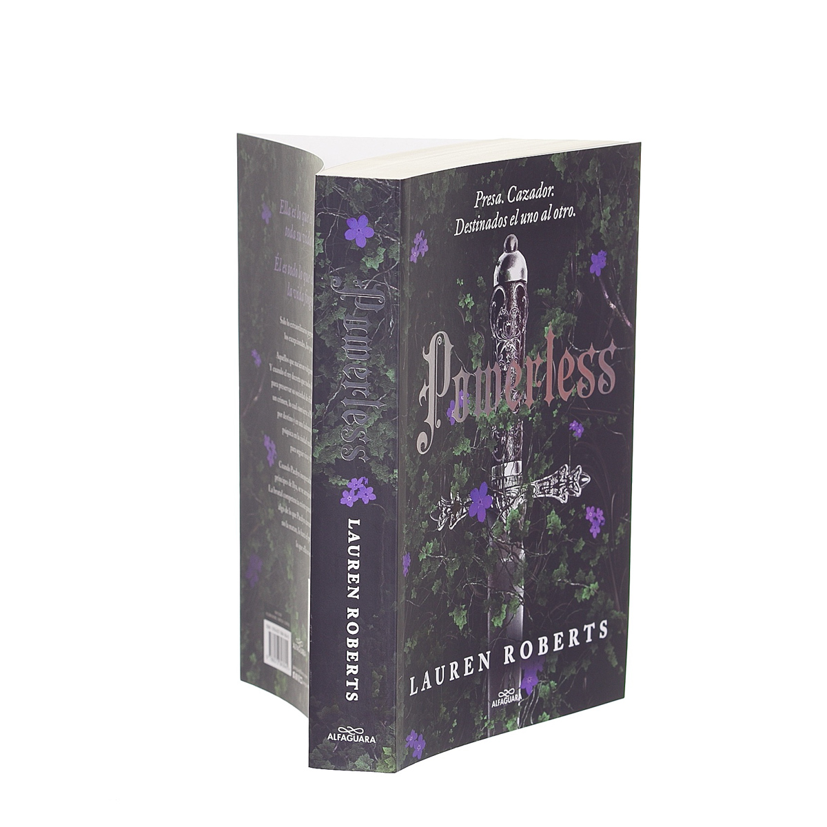 Powerless image number null