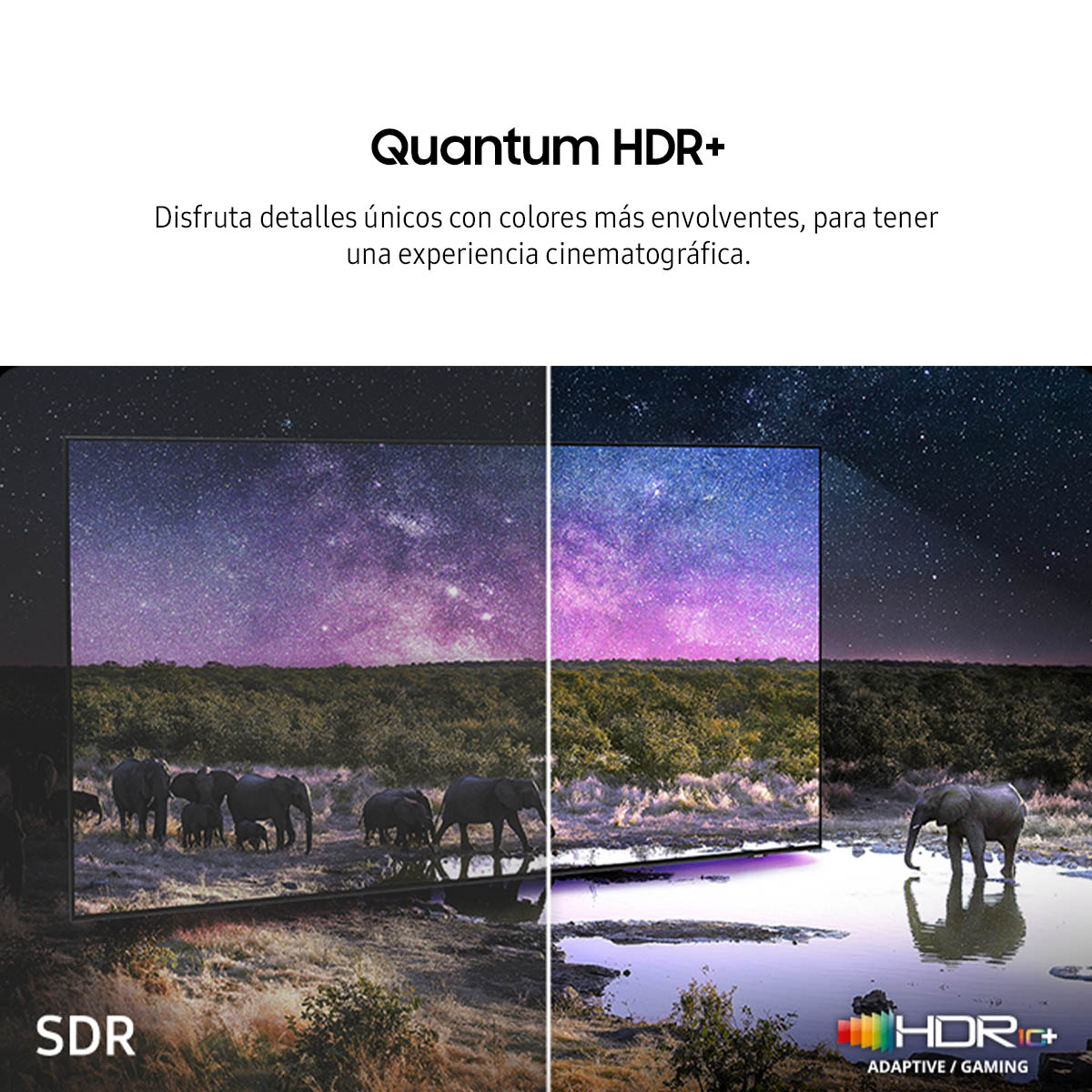 Pantalla Samsung Qled de 43 Pulgadas Qn43qn90fa image number null
