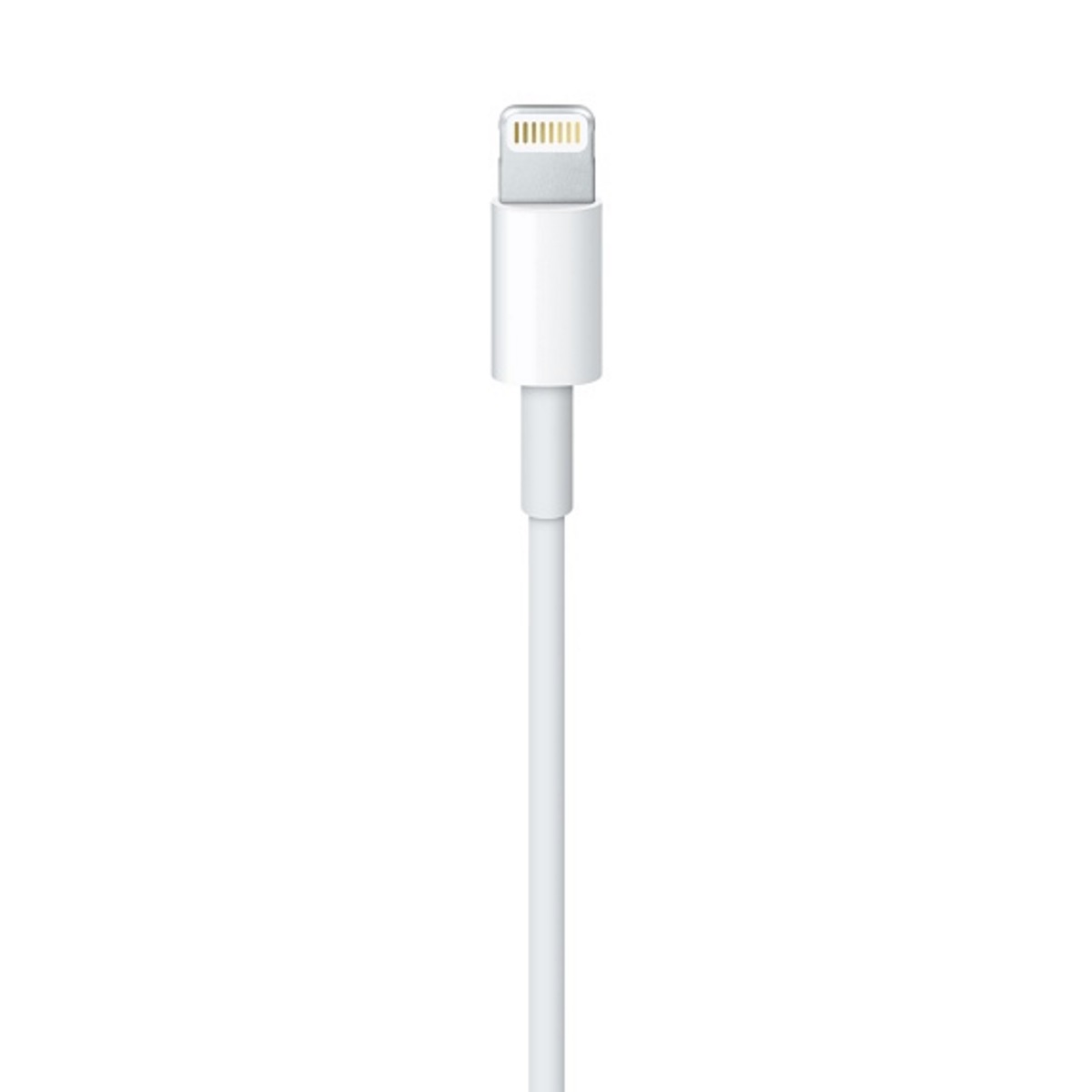 Cable Lightning Apple USB 1 m image number null