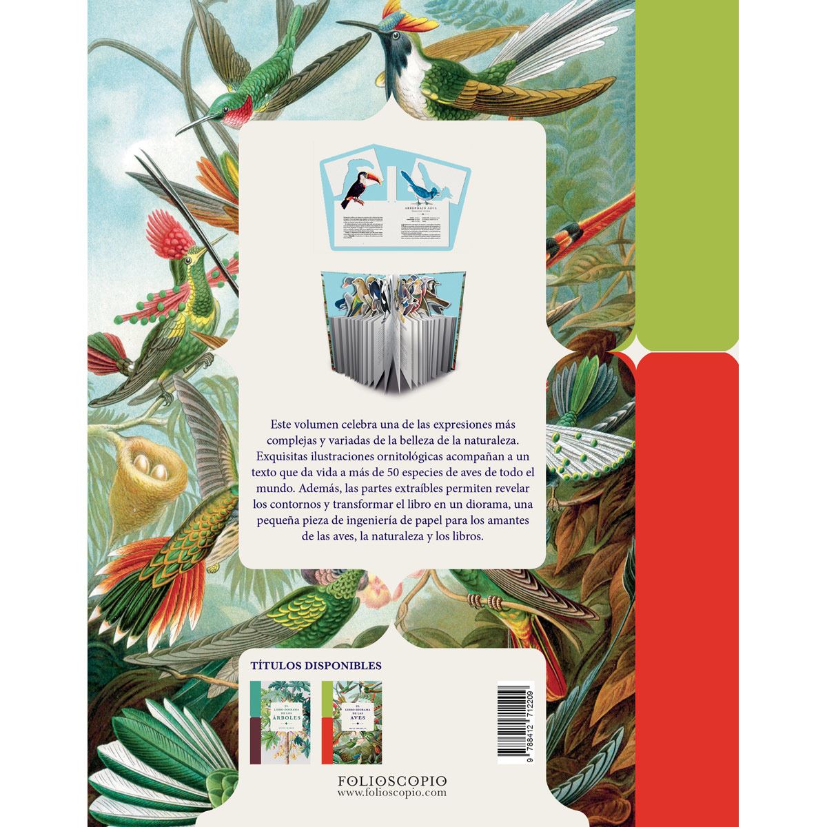 El libro-Diorama de las aves image number null