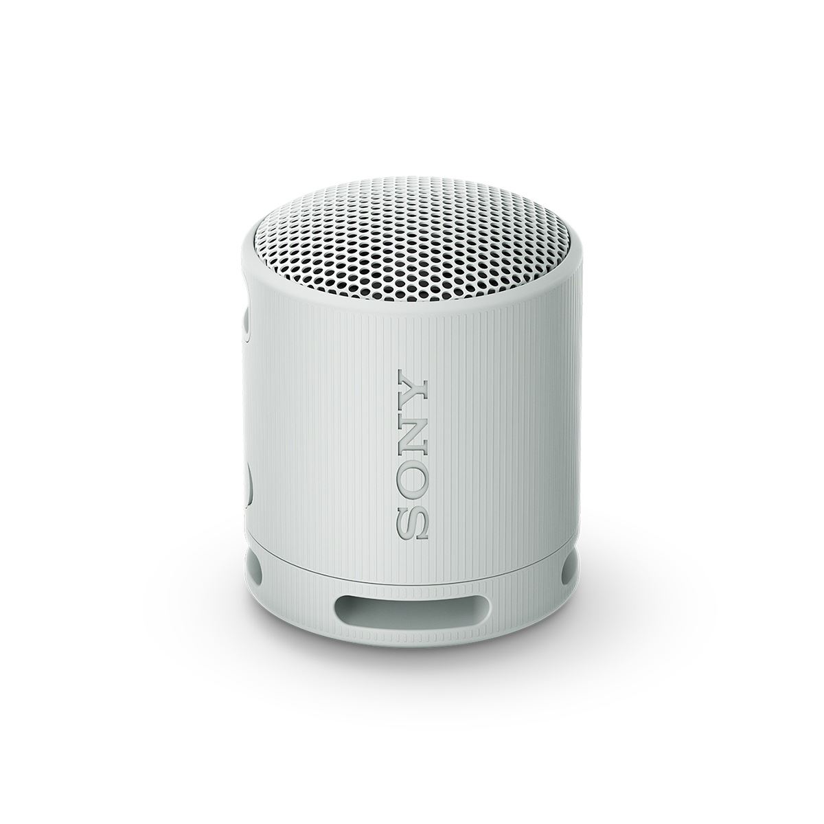 Bocina Port&aacute;til Sony XB100 Gris image number null