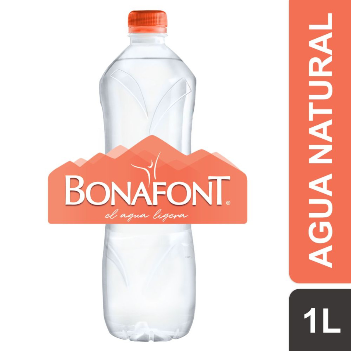 Agua Bonafont 1 lt image number null