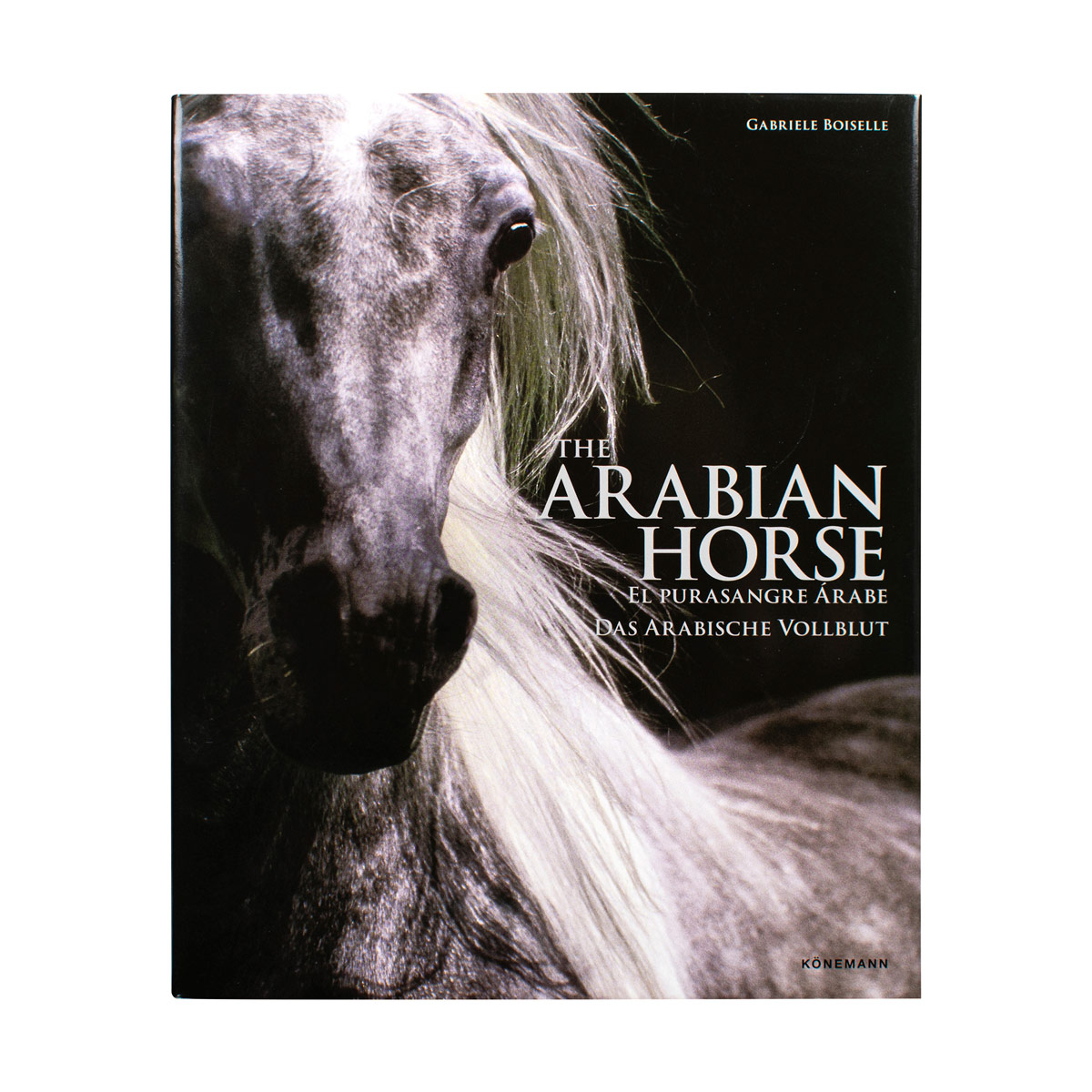 The arabian horses image number null