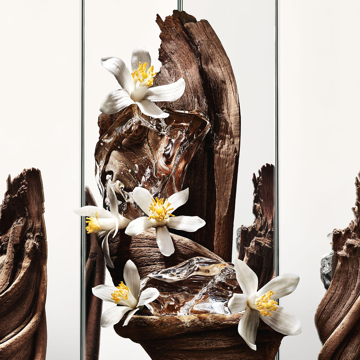 Fragancia para Caballero Yves Saint Laurent New Masc V100 ml image number null