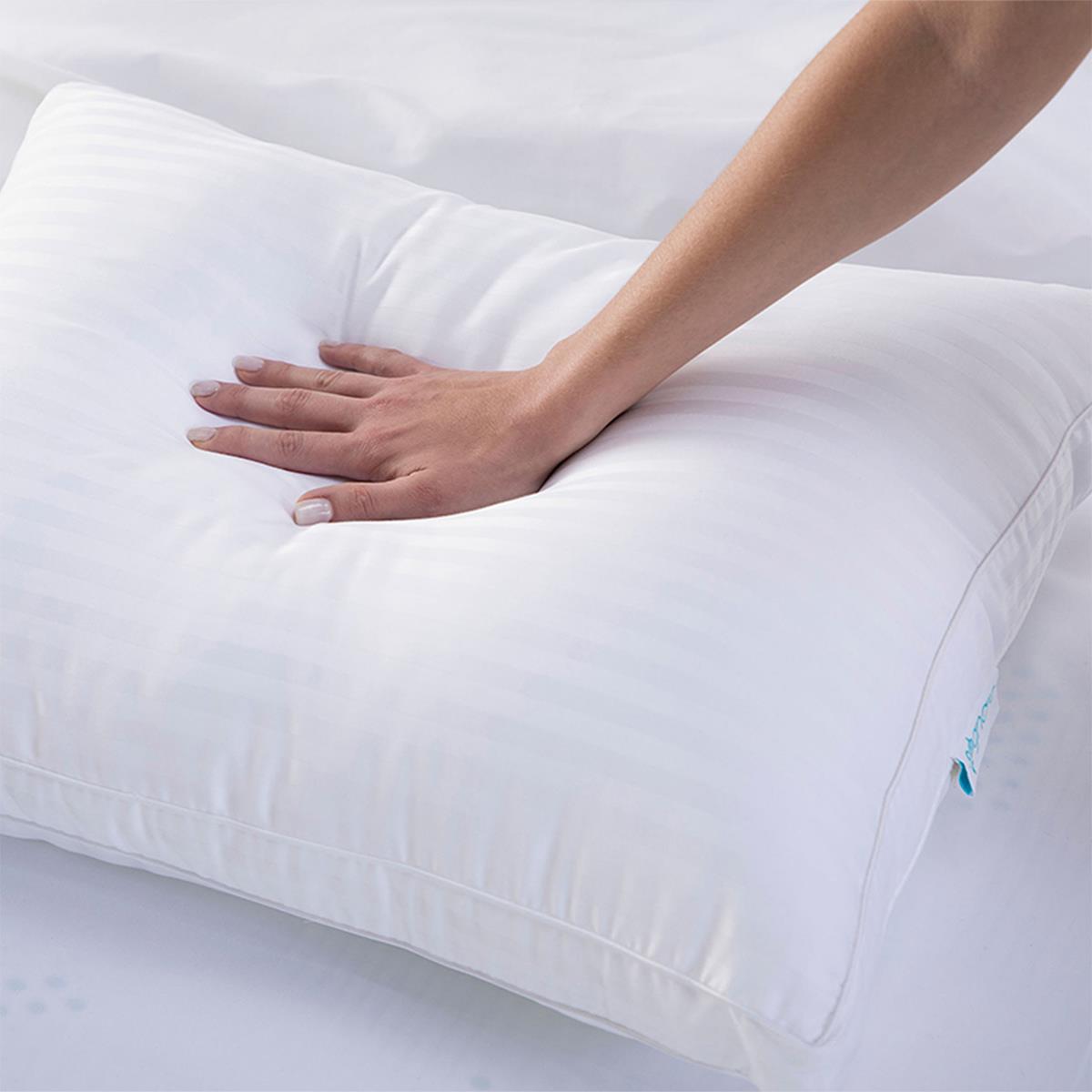 Sognare Collezione Std SemiFirme Almohada image number null