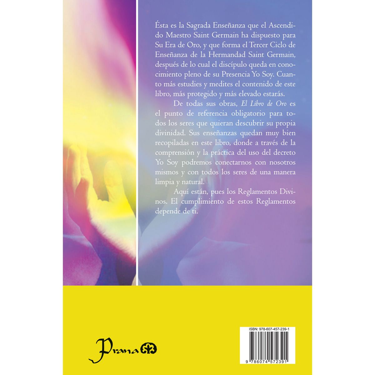 El libro de oro image number null
