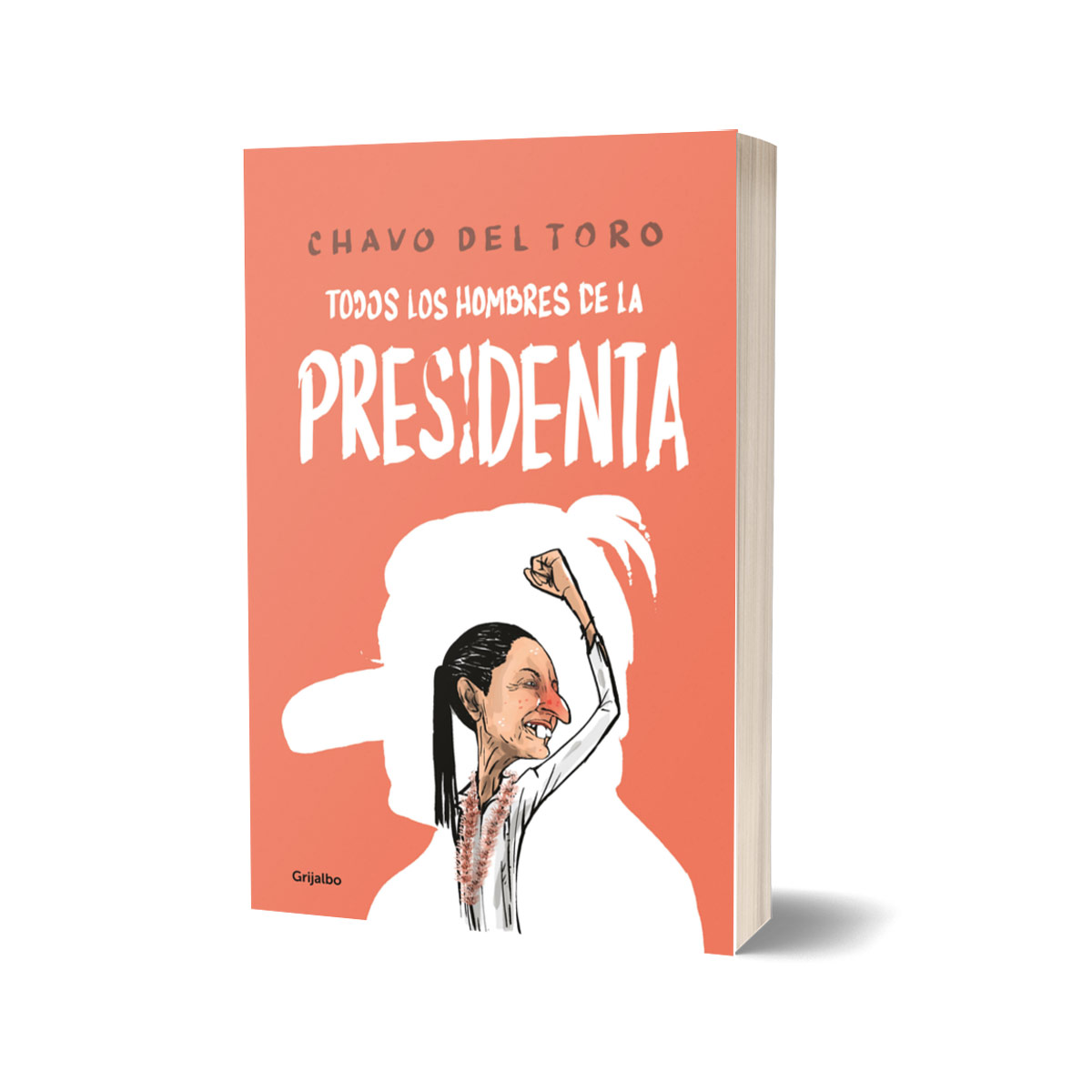 Todos los hombres de la Presidenta image number null