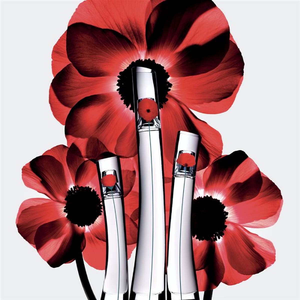 Fragancia para mujer Flower by Kenzo L' Absolue Eau de Parfum image number null