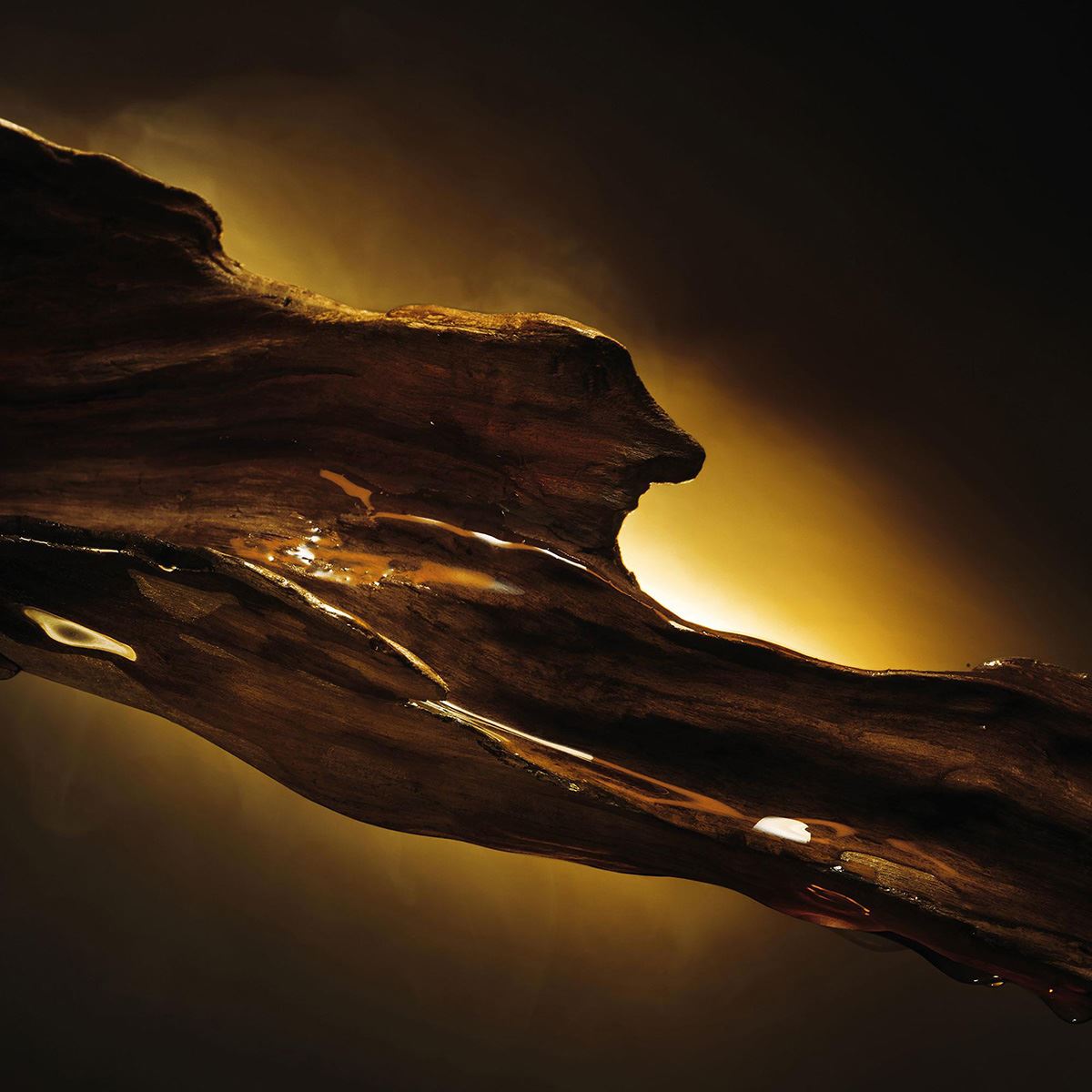 Fragancia para Hombre Hugo Boss Bottled Elixir Parfum 100ml image number null