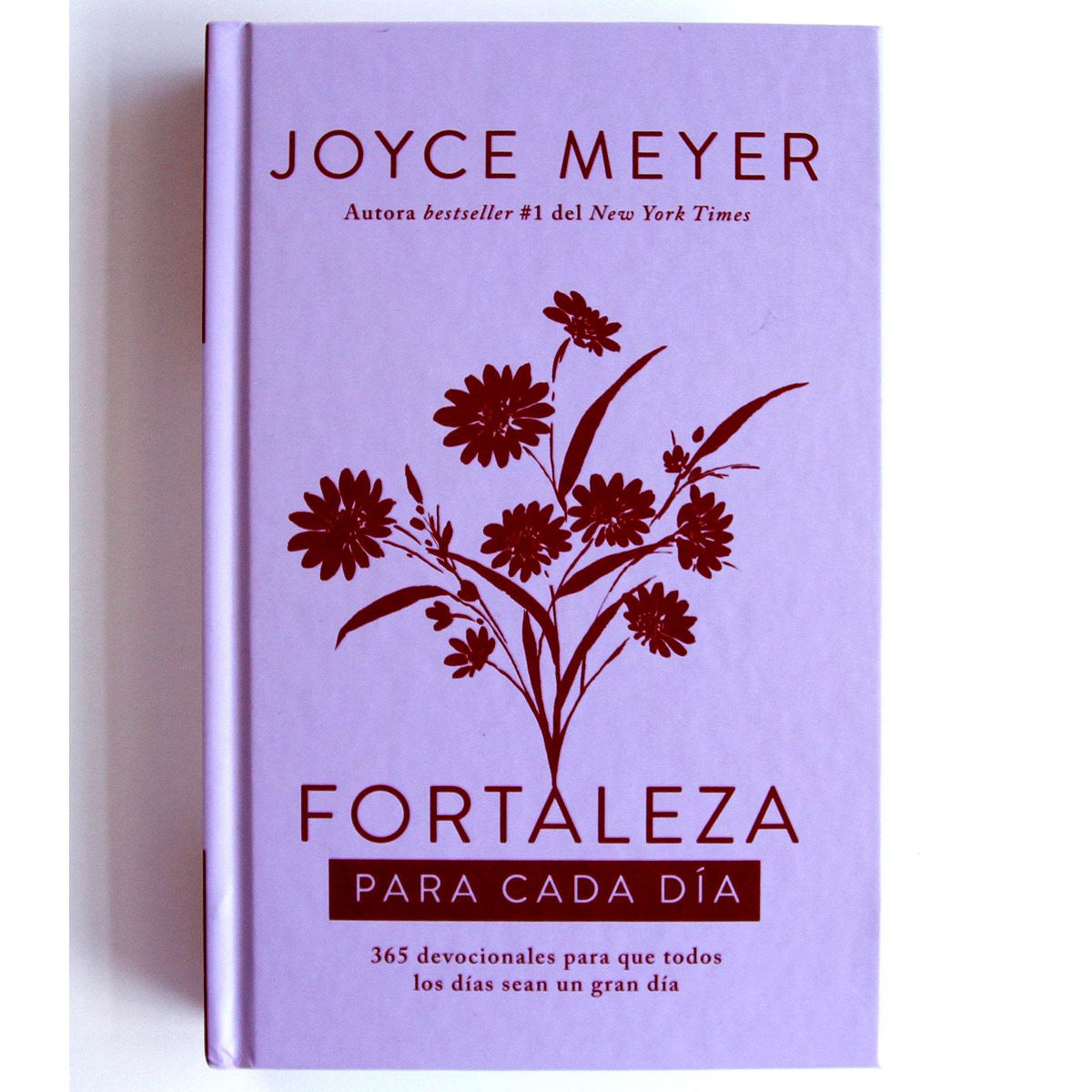 Fortaleza para cada d&iacute;a image number null