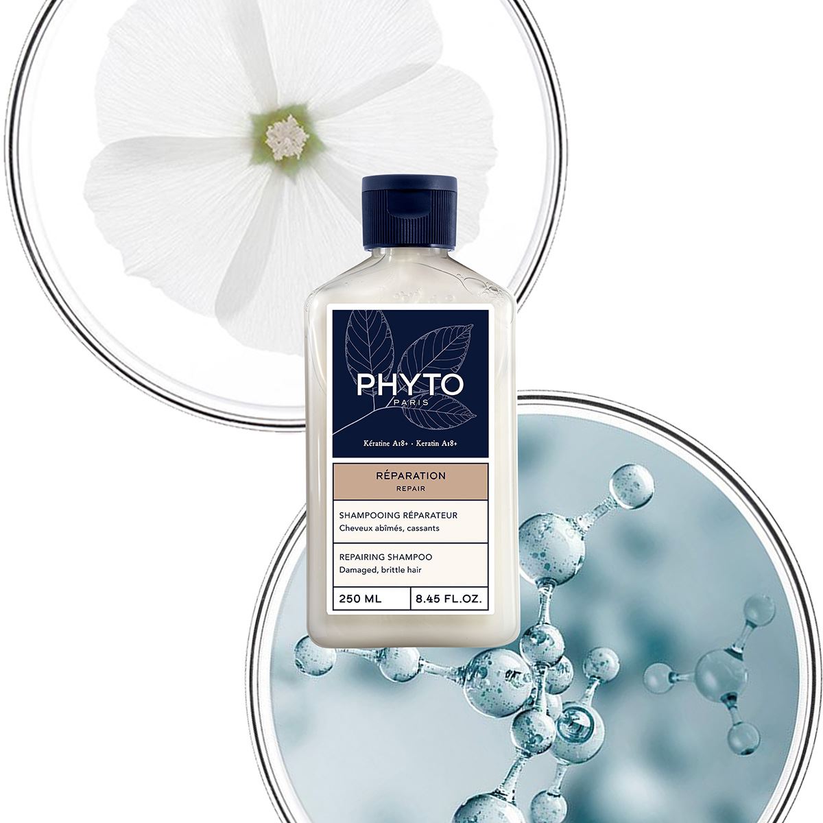 Phyto Repair Shampoo Reparador Cabello Da&ntilde;ado y Quebradizo image number null